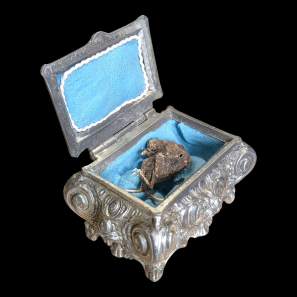 Mummified Mouse In Silver Plate Casket - Image 3