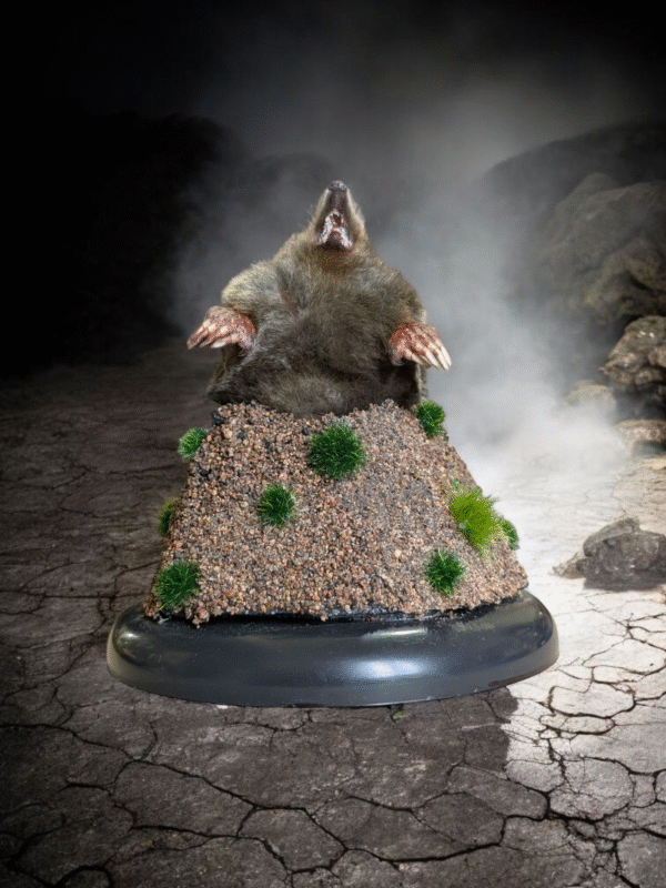 Taxidermy Mole On Mound - Image 2