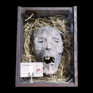 Ministry Of Obscure Relics Minories Head