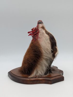 Taxidermy Badger Mask On Shield Mount – Dramatic Blood Effect Display Piece