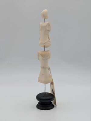 Articulated Real Camel Foot Bone Specimen on Stand – Natural History Display