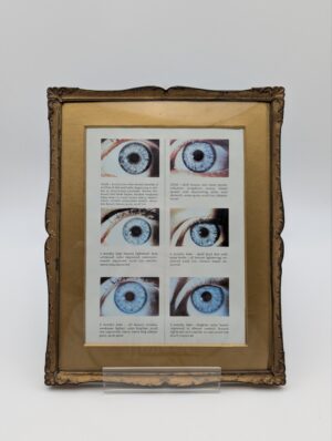 Vintage Gilt Framed Eye Study Print