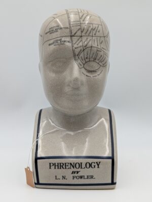 Vintage Ceramic Phrenology Head Bust by L.N. Fowler