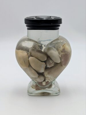 Authentic “Jar of Hearts” Anatomical Specimen in Glass Apothecary Jar