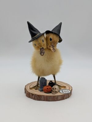 Two-Headed Taxidermy Witch Duckling Diorama