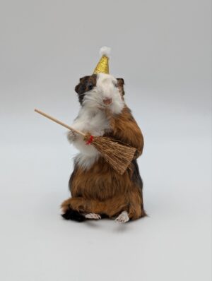 Taxidermy Guinea Pig “Birthday Witch” Diorama with Hat & Broom