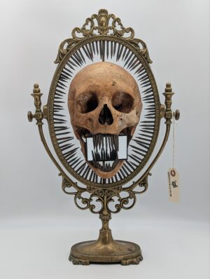 Authentic Ex Medical Human Skull Scrying Display with Coffin Nail Teeth & Brass Stand