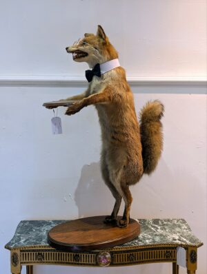 Anthropomorphic Taxidermy Fox Butler – Bespectacled Fox Serving Tray on Stand