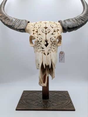 Authentic Hand Carved Water Buffalo Skull on Decorative Stand