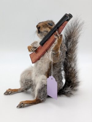 Taxidermy Shotgun-Wielding Squirrel