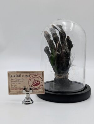 Replica Lucky Simian Paw Curiosity in Glass Dome