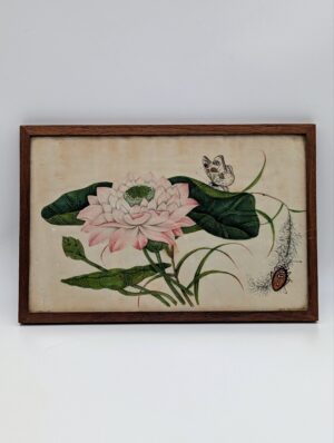 19th Century Hand-Painted Silk Botanical Picture – Lotus Flower, Butterfly & Insect